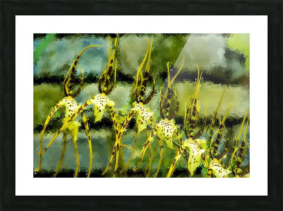 Climate Change- Phase I Picture Frame print