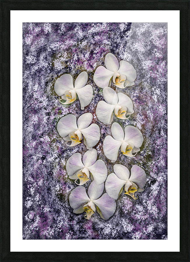 Stylish Orchids Picture Frame print