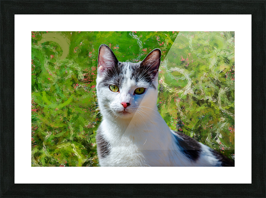 Simply Cat Picture Frame print