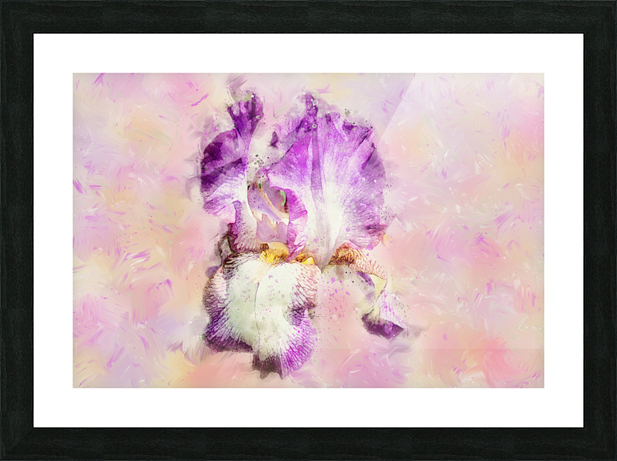 Iris flower Picture Frame print