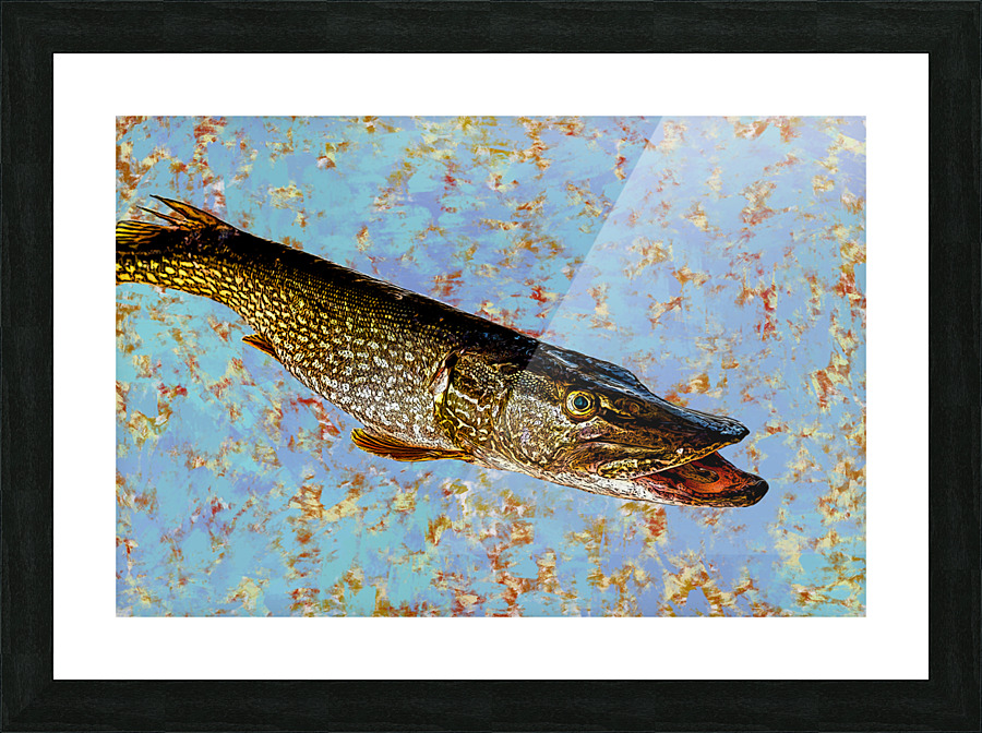 Pike Picture Frame print