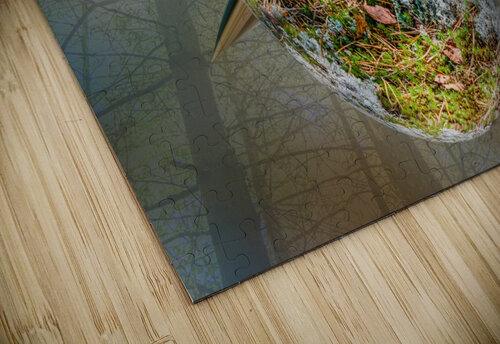 Abstract -  Forest Egg PitoFotos puzzle