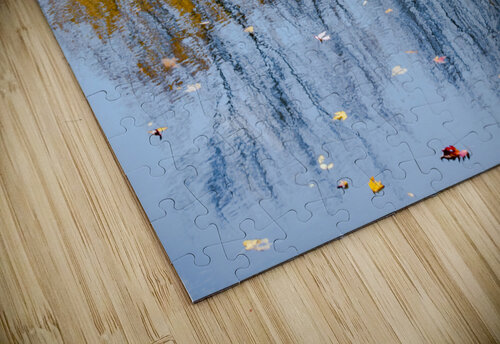 Abstract - Water Reflections PitoFotos puzzle