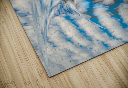 Cloaking Device PitoFotos puzzle