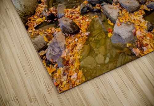 Mountain River VII PitoFotos puzzle