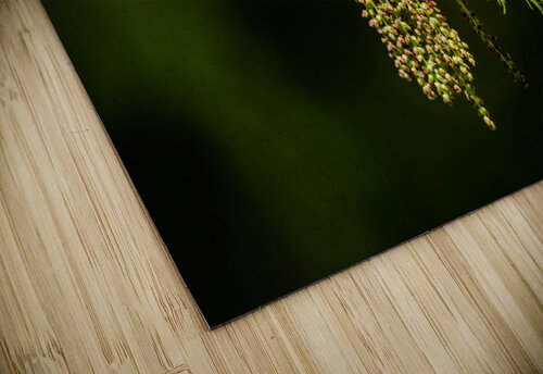 Oak tree catkins PitoFotos puzzle