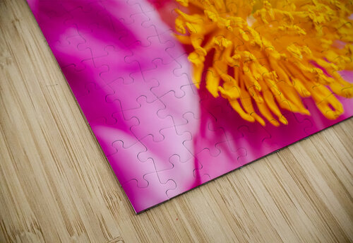 PEONY FLOWERS PitoFotos puzzle