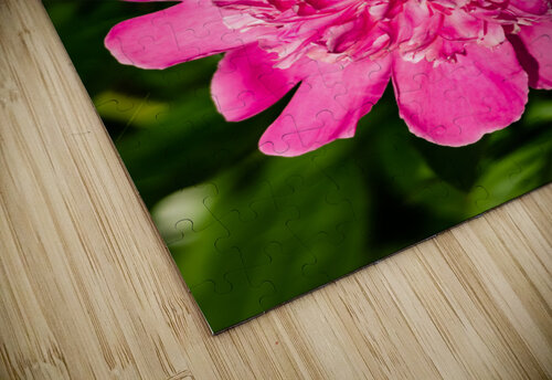 Peony Flowers PitoFotos puzzle