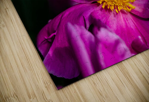 Peony Flowers PitoFotos puzzle