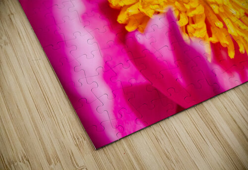 Peony Flowers PitoFotos puzzle