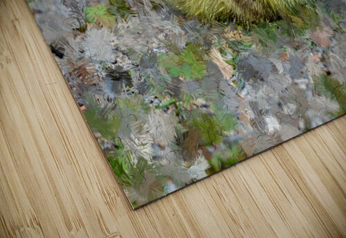 Sleeping  Gosling PitoFotos puzzle