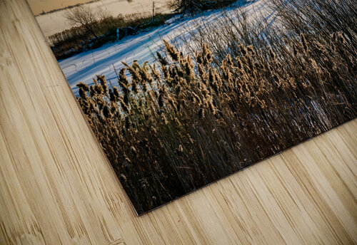 River 3 PitoFotos puzzle