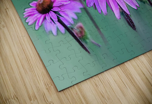 Frozen In Time - Echinacea PitoFotos puzzle