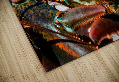 Lobster  PitoFotos puzzle