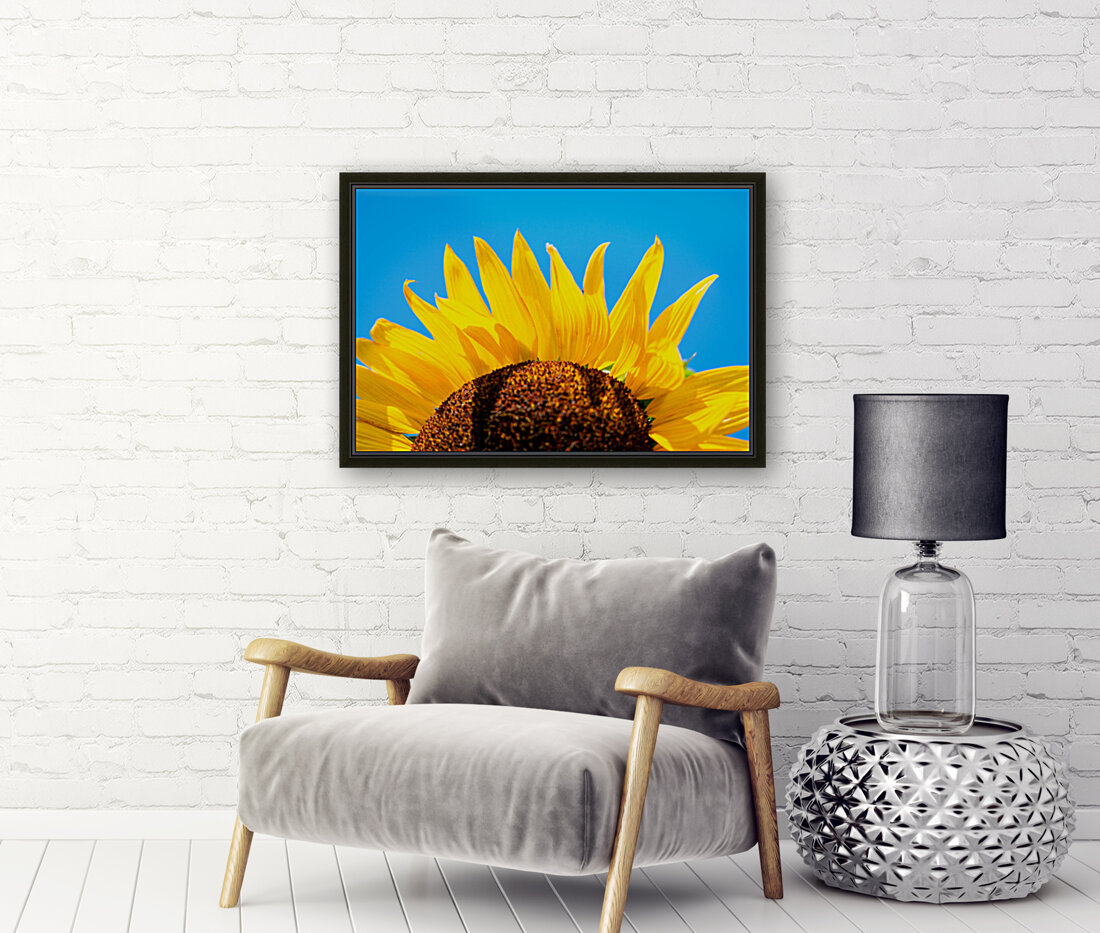 Sunflower Reproduction