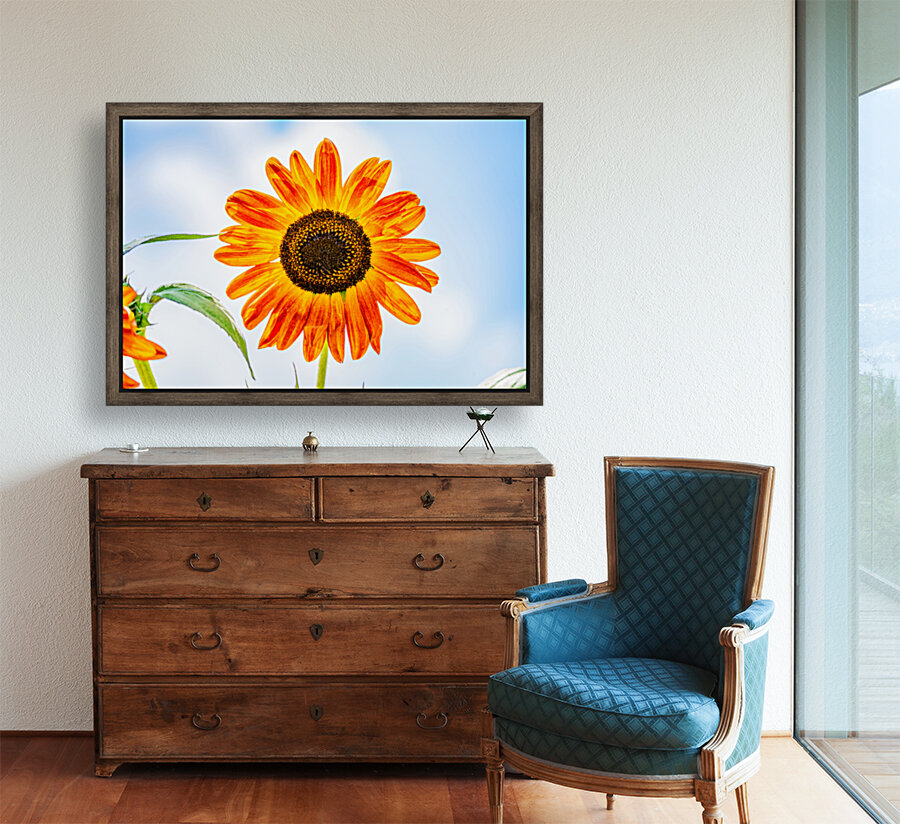 Sunflower 2 Reproduction