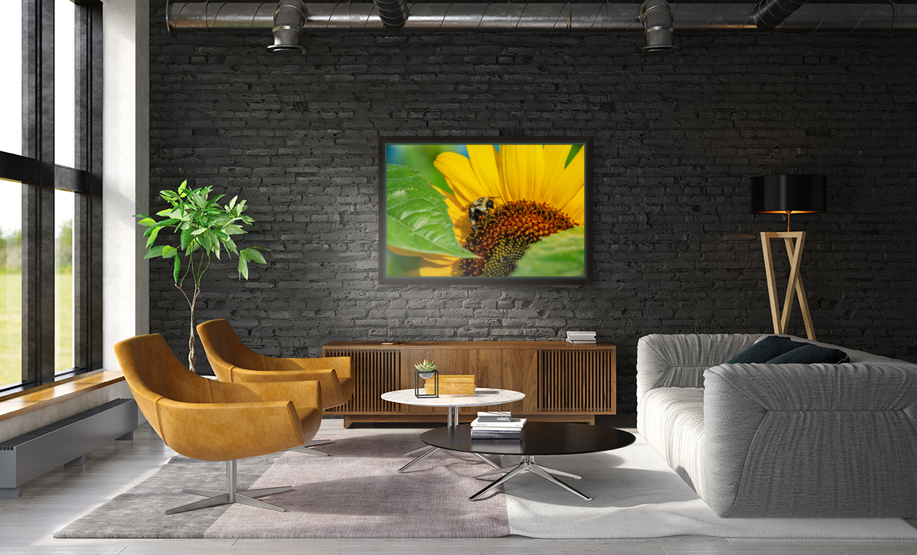 Sunflower 4 Reproduction