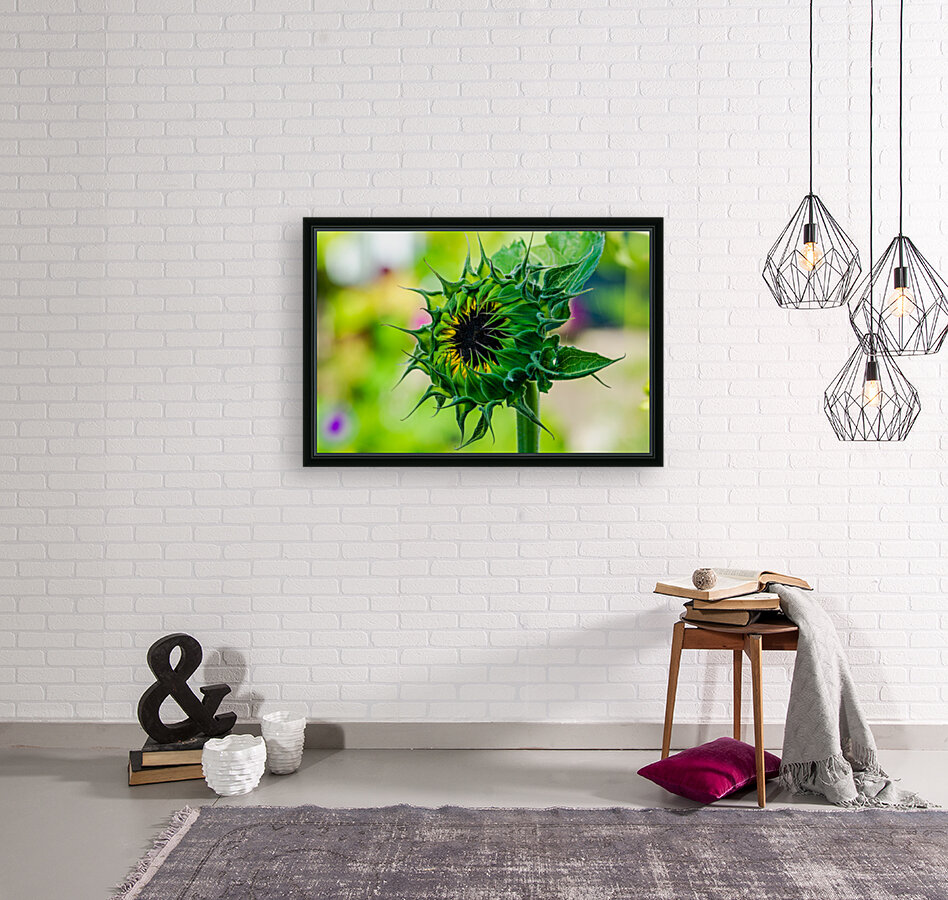 Sunflower 5 Reproduction