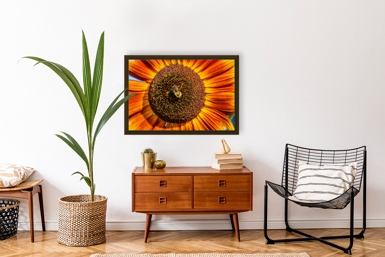 Sunflower 6 Reproduction
