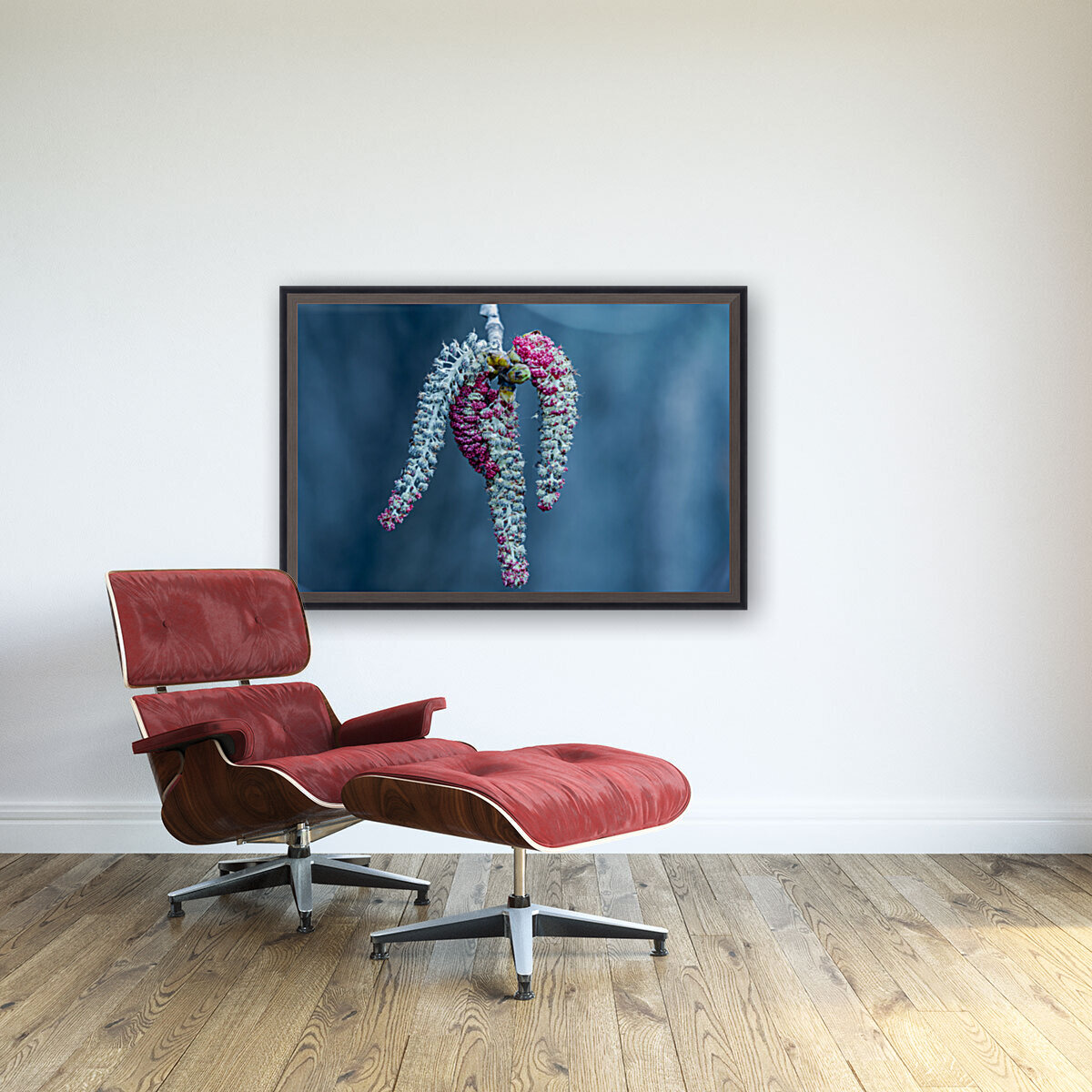 Poplar tree catkins Reproduction