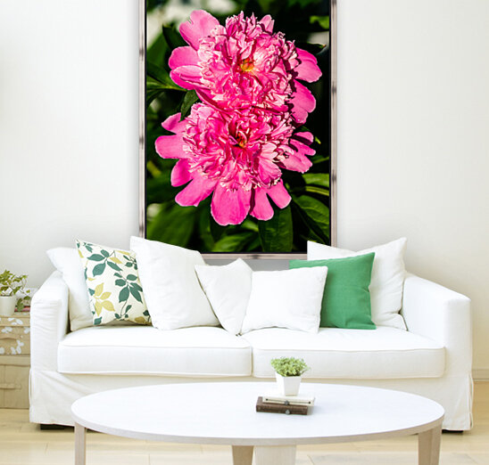 Peony Flowers Reproduction