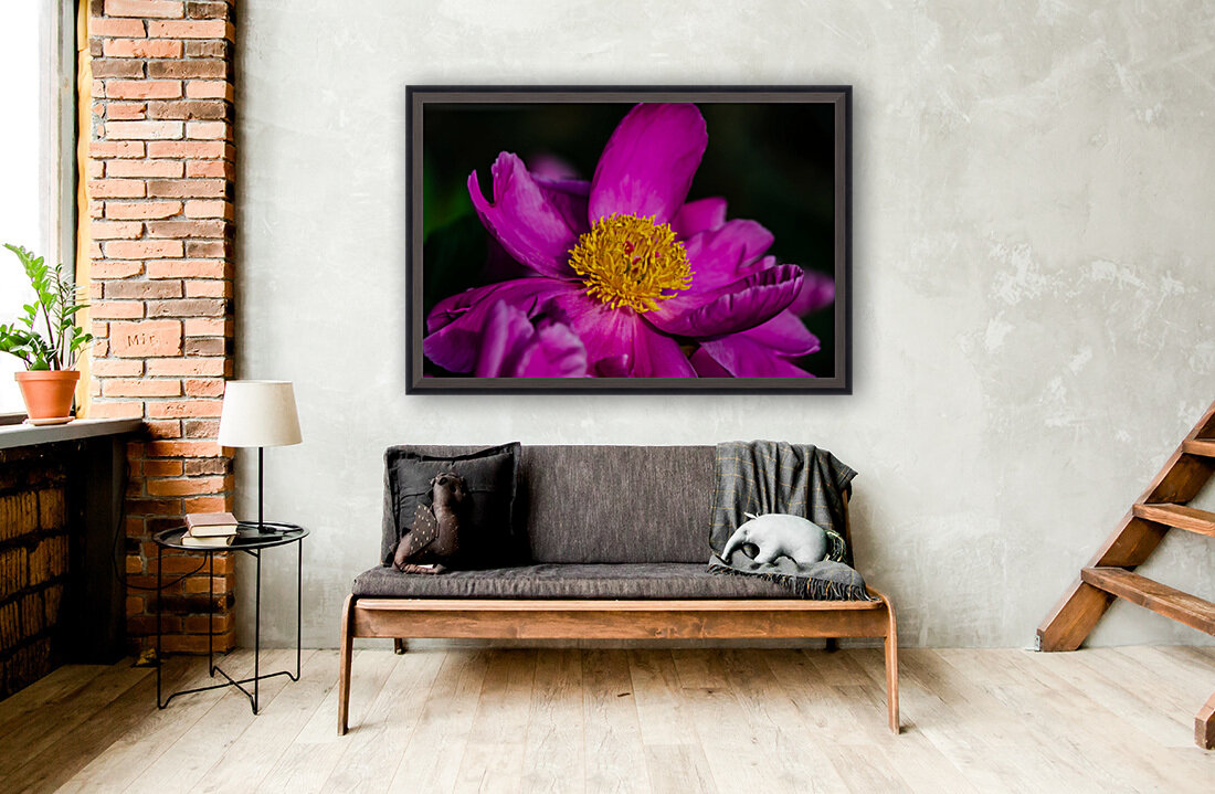 Peony Flowers Reproduction