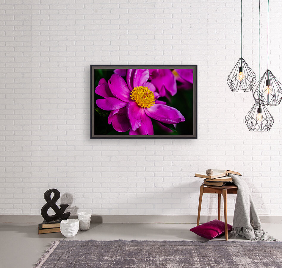 Peony Flowers Reproduction