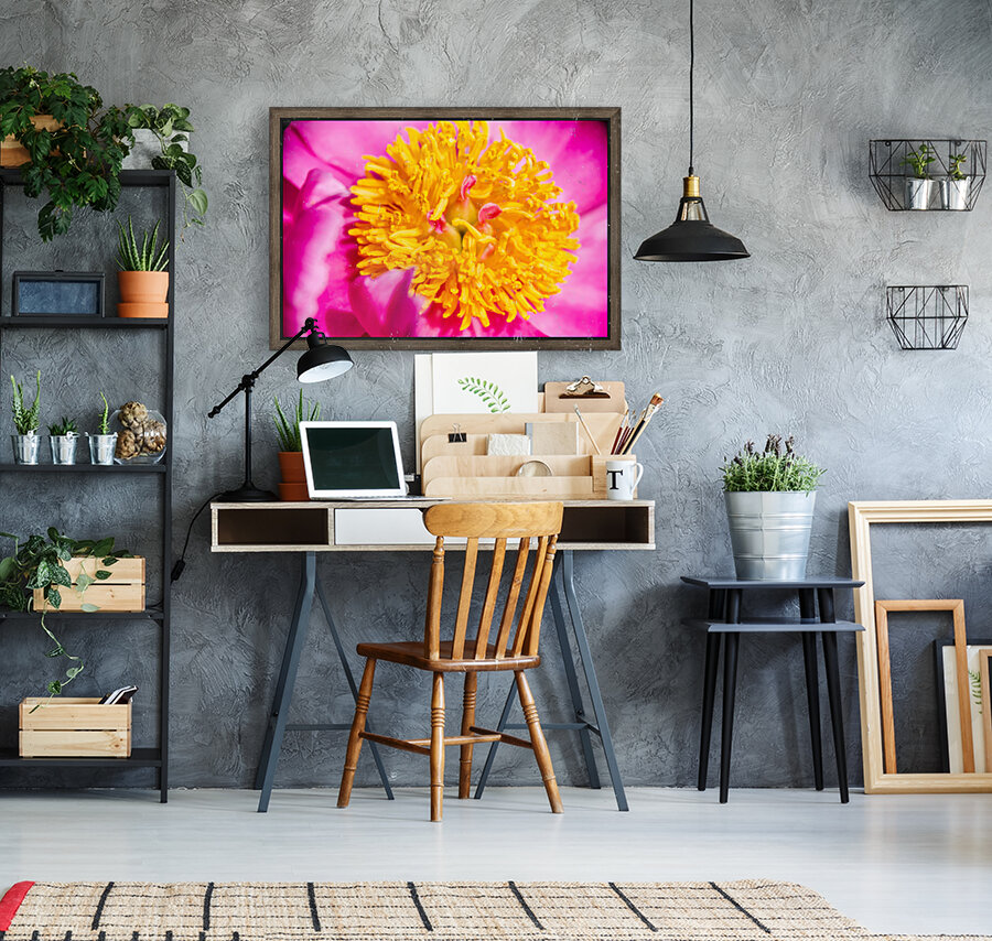 Peony Flowers Reproduction