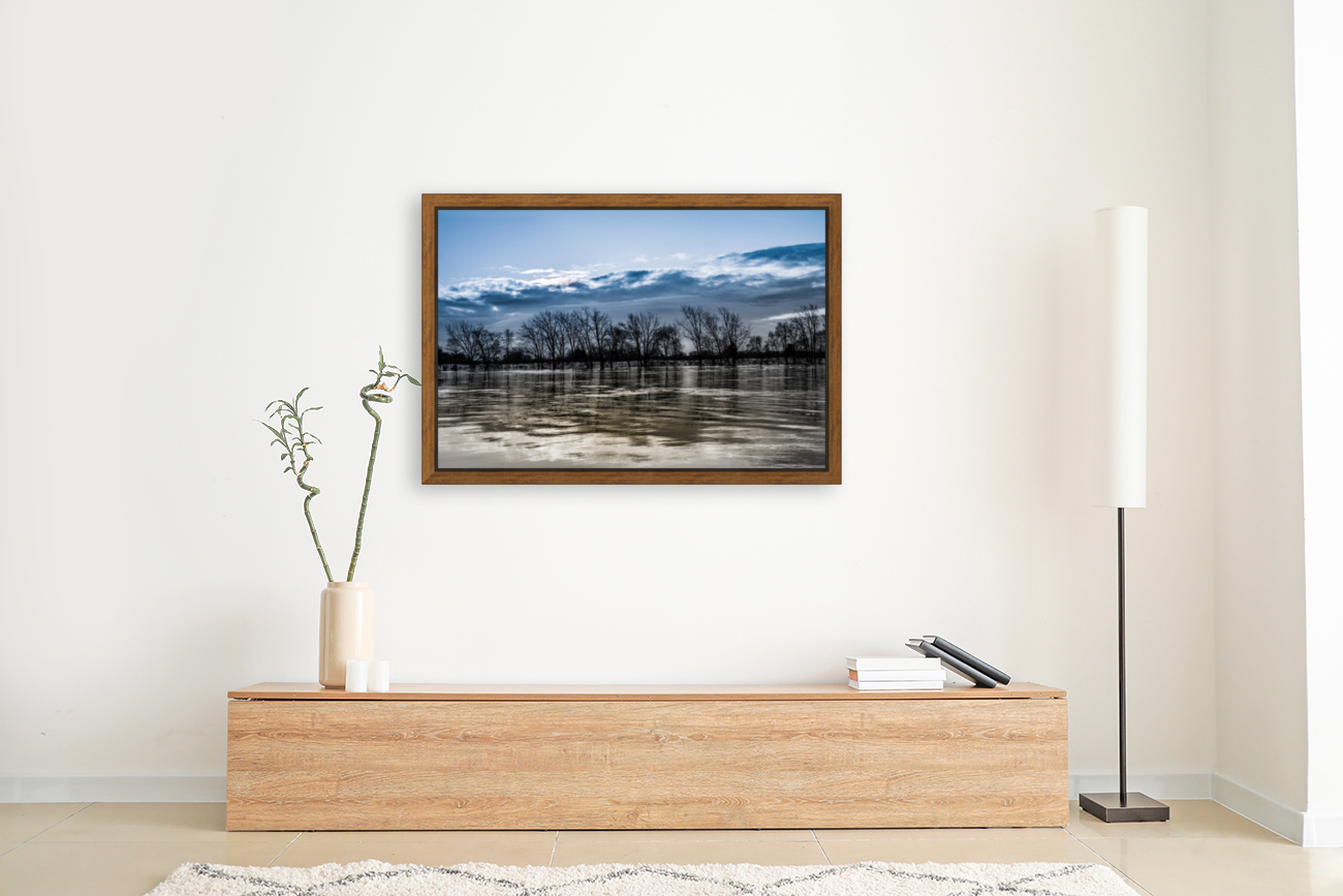 River1 Reproduction