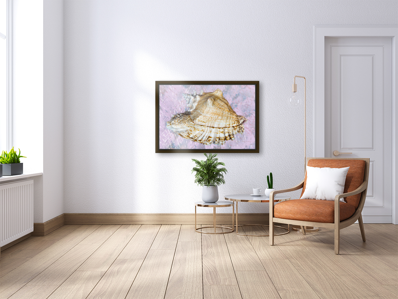 Seashell  Reproduction