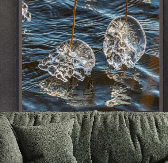 Winter Creations III by PitoFotos