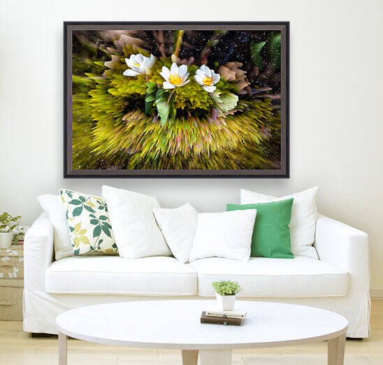 Abstract - Bloodroot Flowers Blooming by PitoFotos