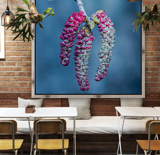 Poplar tree catkins by PitoFotos