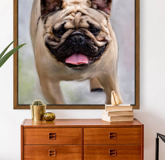 Dog by PitoFotos