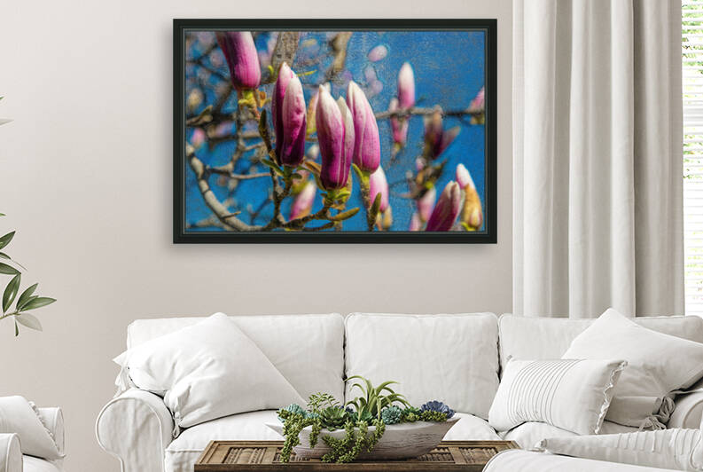 Frozen In Time - Magnolia Flowers by PitoFotos