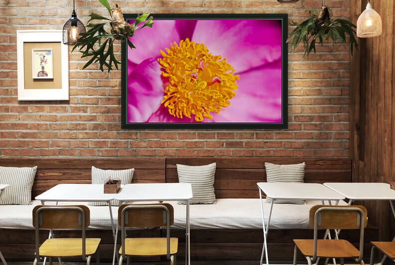 PEONY FLOWERS Reproduction