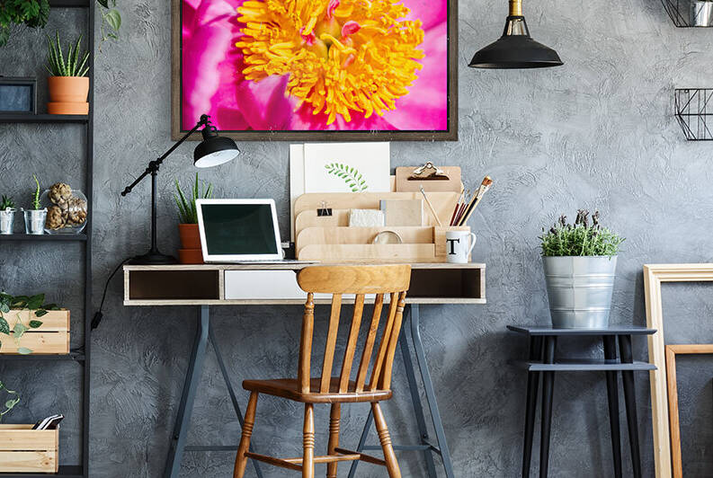 Peony Flowers by PitoFotos