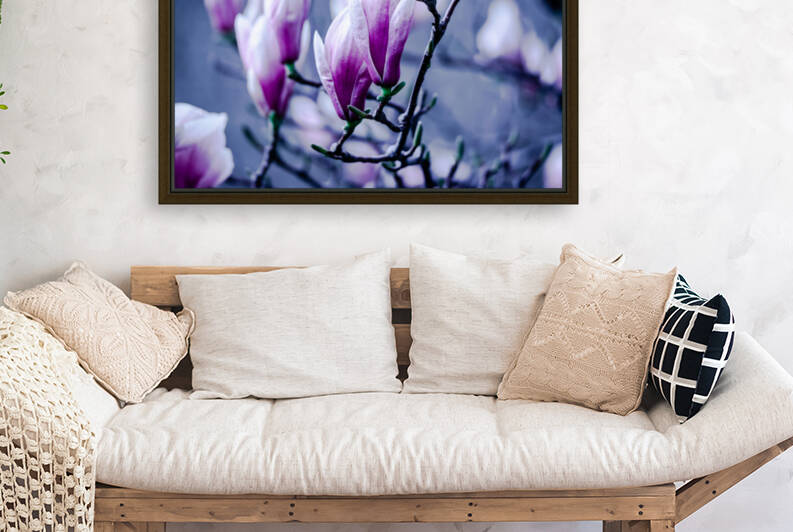 Magnolia flowering time by PitoFotos