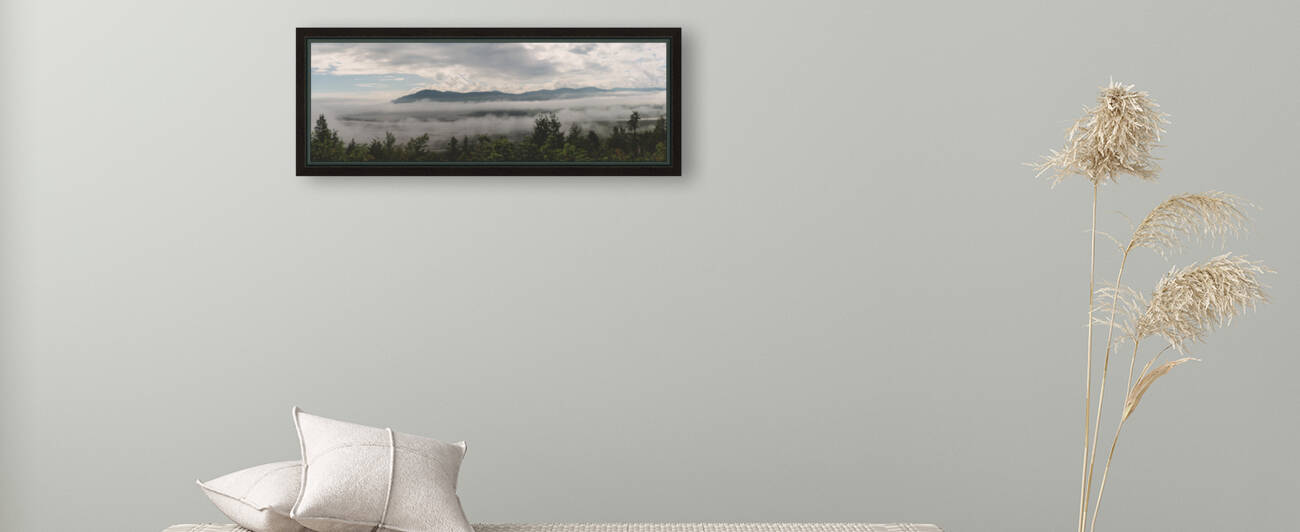 Scenic view   Reproduction