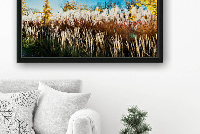 High white decorative reeds  by PitoFotos