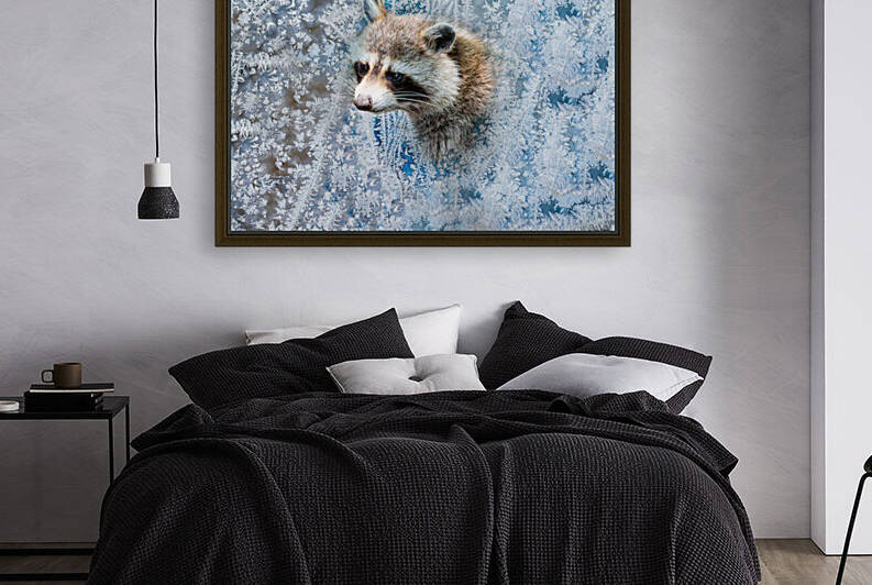 Sad raccoon by PitoFotos