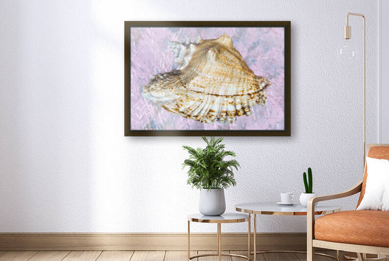 Seashell  Reproduction