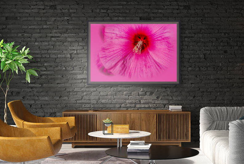 Pink in pink  by PitoFotos