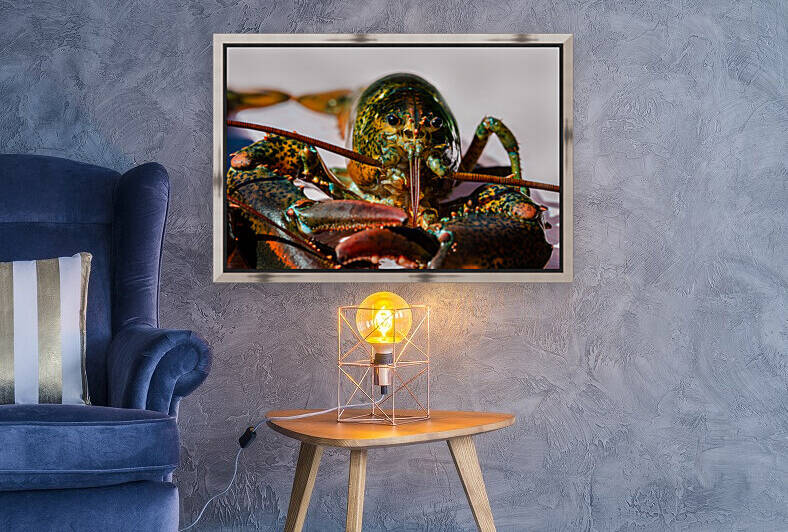Lobster  by PitoFotos