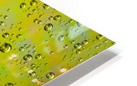Abstract - Springtime HD Metal print