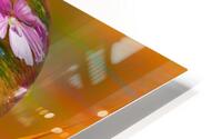 Abstract - Summer  HD Metal print