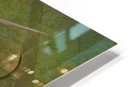 Abstract -  Forest Egg HD Metal print