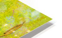 Seasons - Springtime HD Metal print