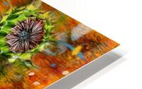 Seasons - Summer HD Metal print