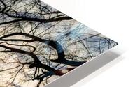 Abstract - Capture I HD Metal print